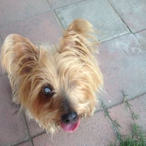 Meet your Posher, Jamie